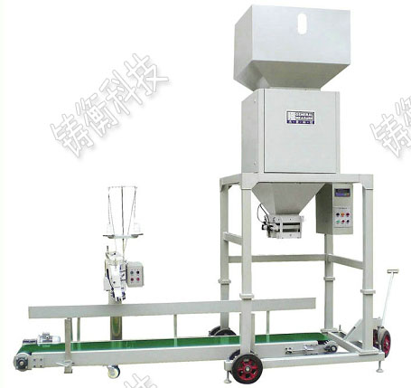 ��Ӷ�����